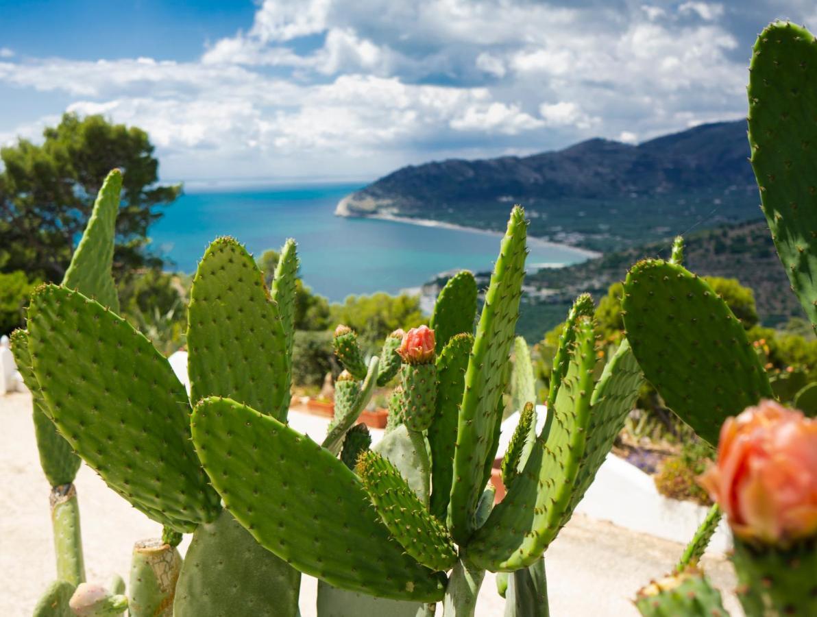 Casa Molo 13 Holiday home *
