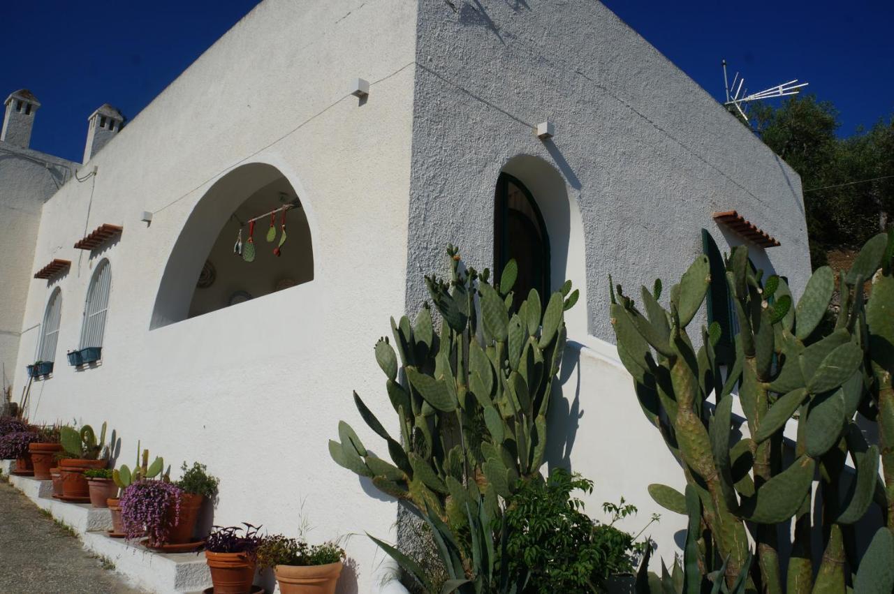 Casa Molo 13 Holiday home *