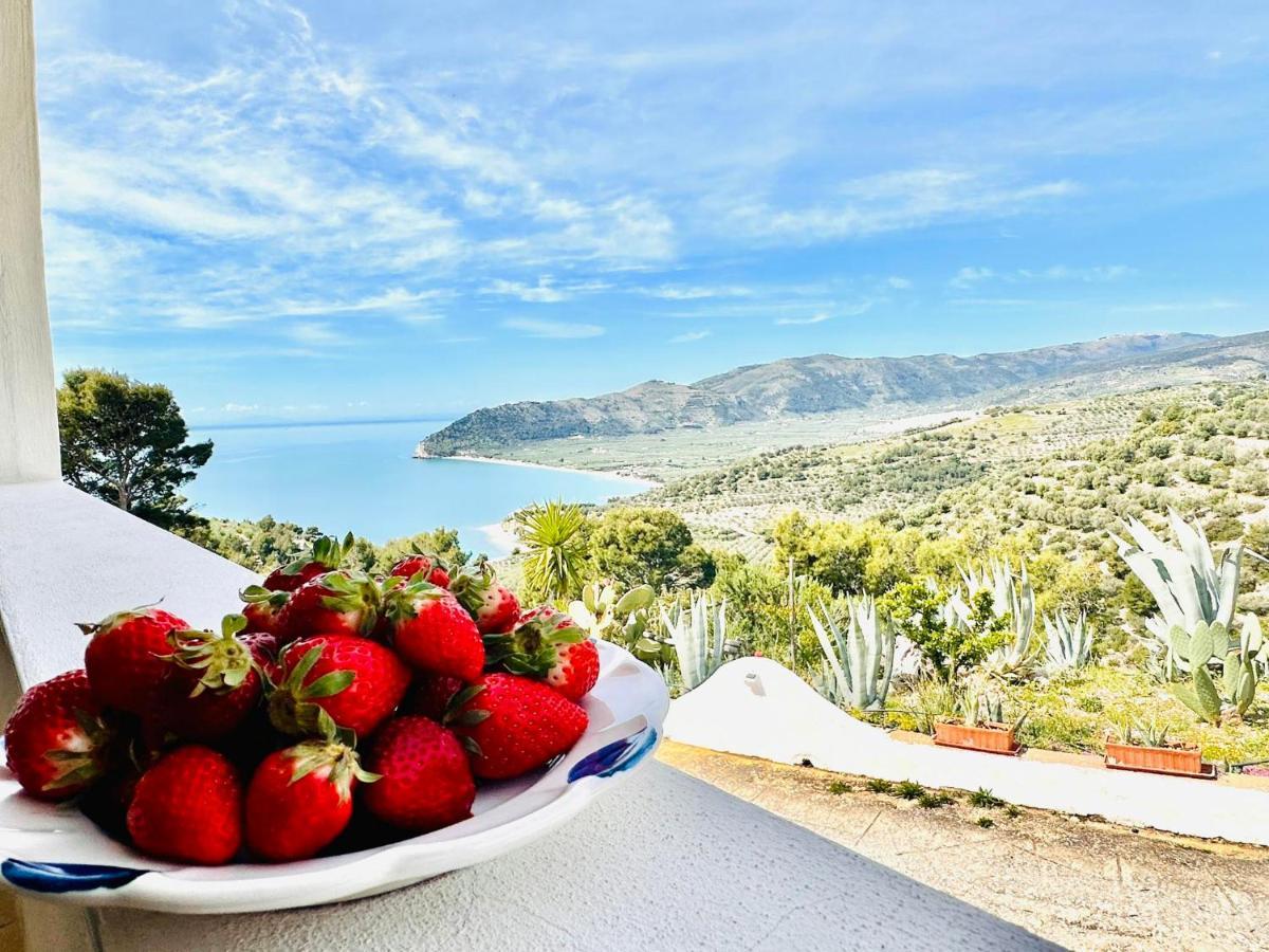 Holiday home Casa Molo 13