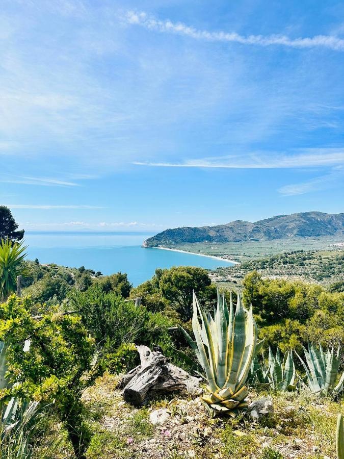 Holiday home Casa Molo 13 *