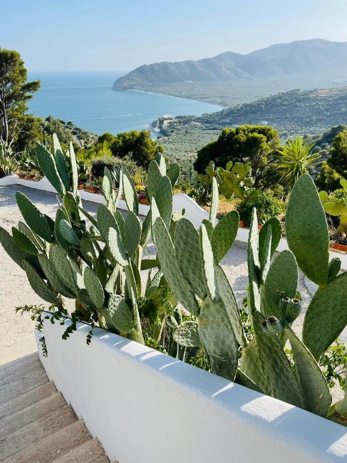Holiday home Casa Molo 13 Mattinata